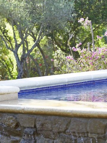 Infinity-Pool im Garten von Bäumen und Blumen umgeben