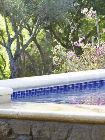 Infinity-Pool im blühenden Garten mit Naturblick