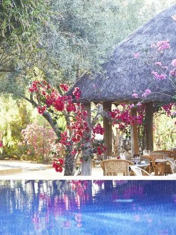Poollandschaft mit strohgedecktem Pavillon und blühenden Bougainvilleas