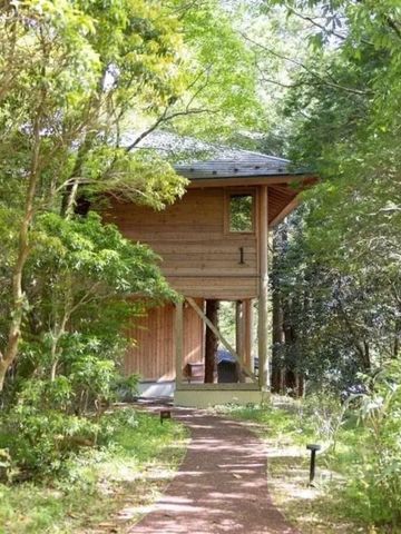 Villa inmitten eines dichten Waldes mit gepflastertem Weg