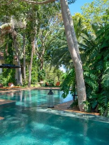 Pool von üppigem Grün umgeben in einer tropischen Landschaft.