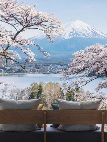 Zimmer mit Aussicht auf den Fuji und blühende Kirschbäume
