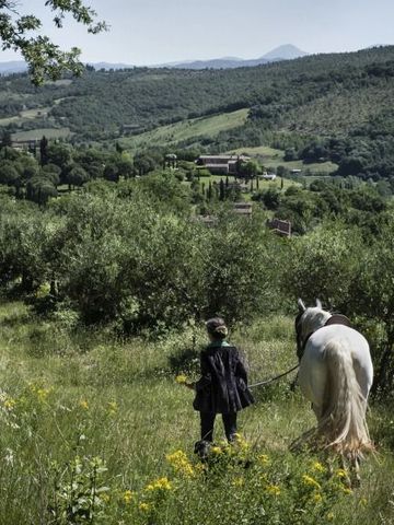 Malerische Landschaft mit Panoramablick auf die umliegende Natur und einem Reiter mit Pferd