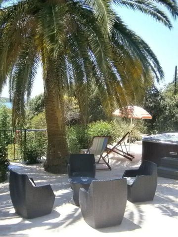 Gartenbereich mit Liegestühlen und Palmen im Hotel