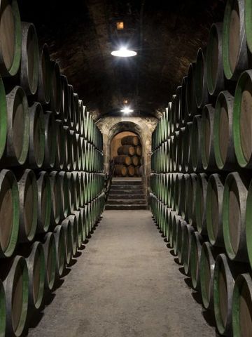 Traditioneller Weinkeller mit Holzfässern in Reihen.