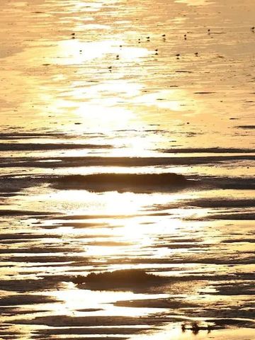Sonnenuntergang reflektiert über einem ruhigen Meer mit einer Gruppe von Vögeln am Horizont