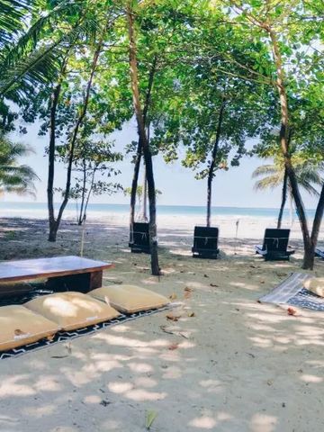 Strand mit Liegestühlen unter schattenspendenden Bäumen.