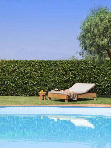 Außenpool mit Liegestuhl und grüner Hecke im Hintergrund