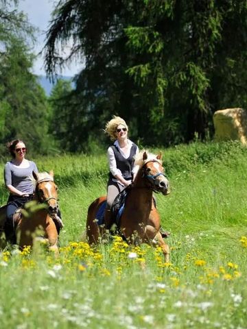 Pferdereiten in einer blühenden Wiesenlandschaft