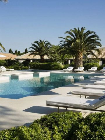 Luxuriöser Poolbereich mit Liegen und Palmen unter blauem Himmel