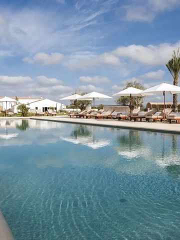 Großer Pool mit Sonnenliegen und Palmen im Freien