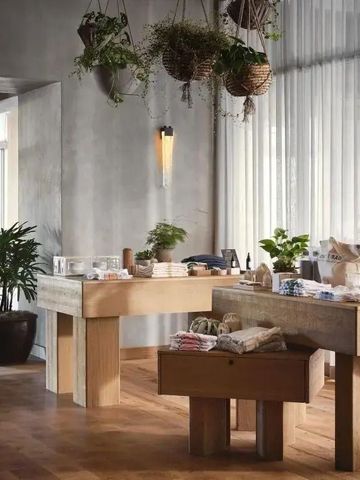 Heller Raum mit hölzernen Tischen und hängenden Pflanzen