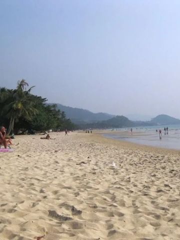 Endloser Sandstrand mit Palmen und Meer bei klarem Himmel