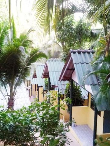 Tropische Bungalows umgeben von Palmen und üppigem Grün auf Mnemba Island