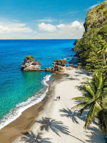 Tropischer Sandstrand mit Palmen und türkisblauem Wasser bei Sonnenschein.