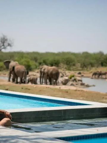 Mann im Pool mit Blick auf Elefanten am Wasserloch in der Savanne