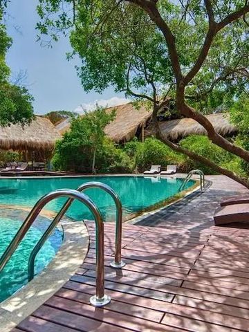 Einladender Pool mit Sonnenterrasse und üppiger Vegetation