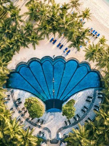 Muschelförmiger Pool umgeben von Palmen am Strand