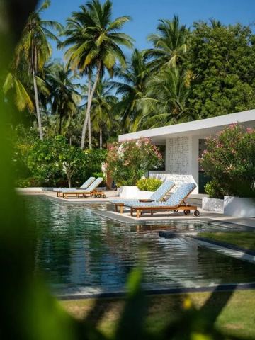 Luxuriöse Sonnenliegen am Pool umgeben von Palmen und üppigem Grün