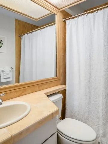 Badezimmer mit großem Spiegel und Duschvorhang