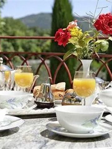 Frühstück auf Terrasse mit Bergblick und Blumen in Vase