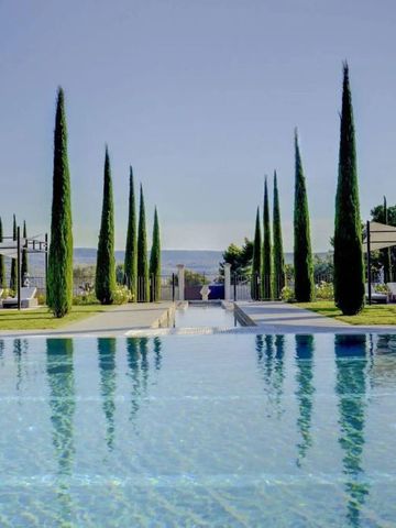 Infinity-Pool mit Zypressen gesäumt und Blick auf die Hügel der Provence im Hintergrund