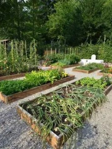 Üppiger Hotelgarten mit gepflegten Gemüsebeeten und umgebender Natur