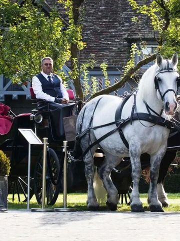 Pferdekutsche vor einem historischen Gebäude im Grünen bei La Ferme Saint Simeon