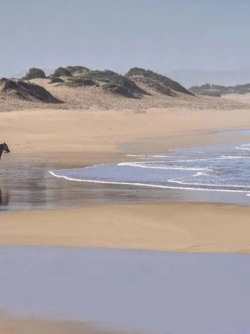 Reiter am Strand von Oualidia mit weiten Dünen im Hintergrund