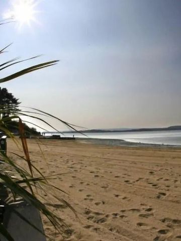 Sonniger Sandstrand mit Palmen am ruhigen See