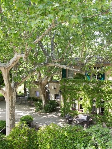 Grüne Fassade des Hotels mit großen Bäumen und gemütlicher Außensitzbereich