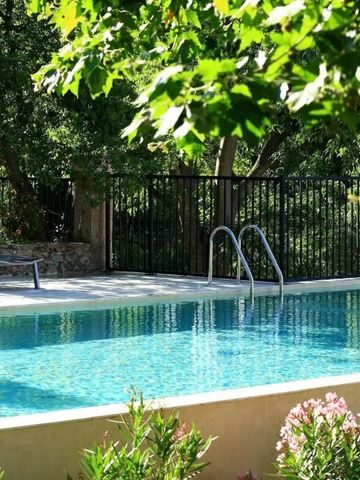 Sonniger Außenpool umgeben von üppigem Grün