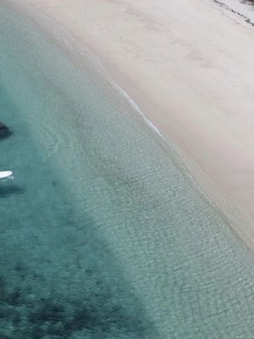 Luftaufnahme eines Paares im Kajak auf klarem Wasser am Sandstrand