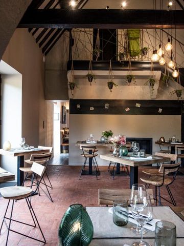 Stilvoll gestalteter Speiseraum mit hängenden Pflanzen und moderner Beleuchtung