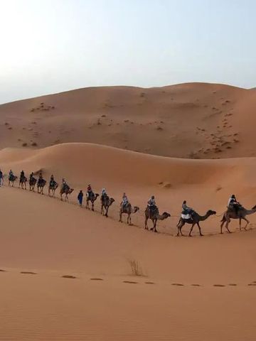 Eine Karawane von Kamelen zieht durch die Sanddünen
