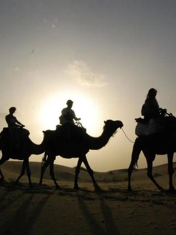 Silhouetten von Reitern und Kamelen bei Sonnenuntergang