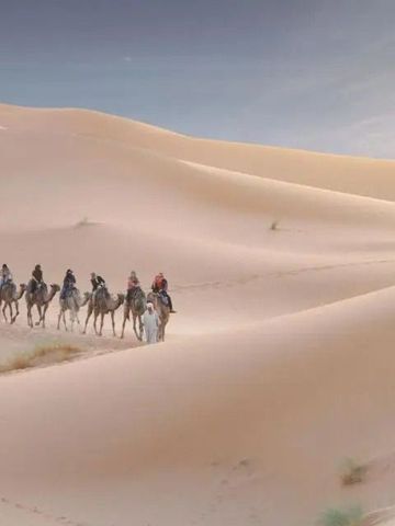 Kamelkarawane in sanften Sanddünen bei Sonnenaufgang