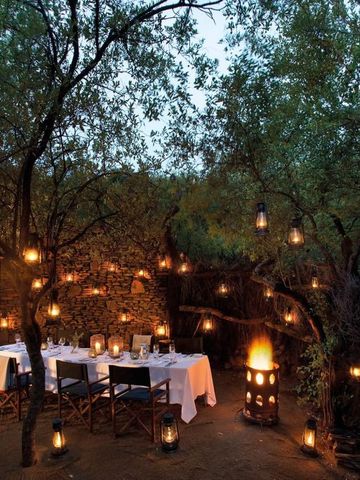 Romantisches Abendessen im Freien unter Bäumen mit Laternenbeleuchtung