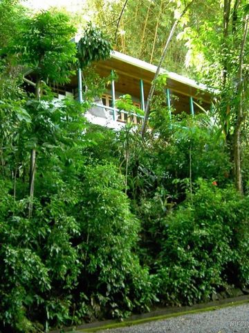 Tropische Vegetation umgibt eine erhöhte Terrasse mit Ausblick