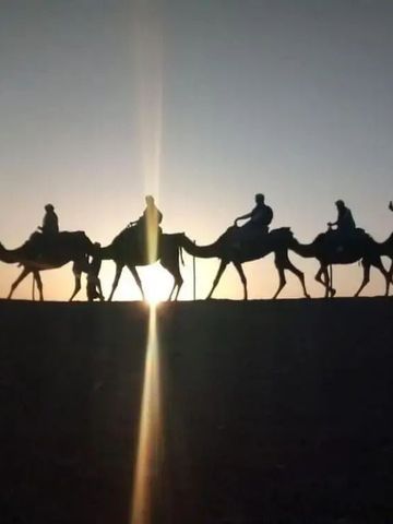 Silhouetten von Menschen auf Kamelen bei Sonnenuntergang in der Wüste