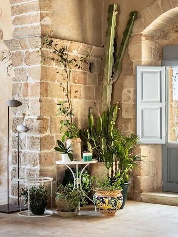 Raum mit natürlichen Steinmauern und üppiger Pflanzenvielfalt