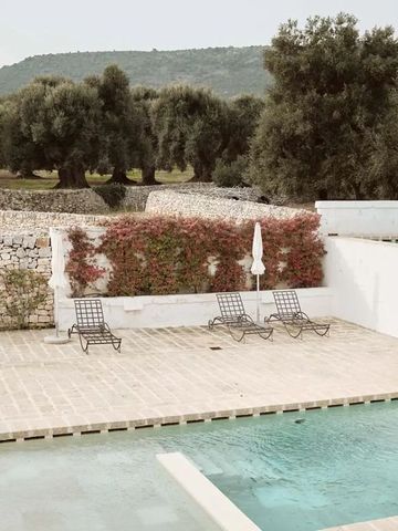 Poolbereich mit Blick auf Olivenbäume und Natursteinmauern