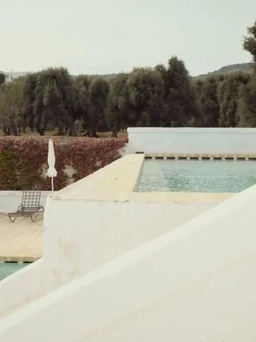 Infinity Pool mit Blick auf grüne Olivenhaine.