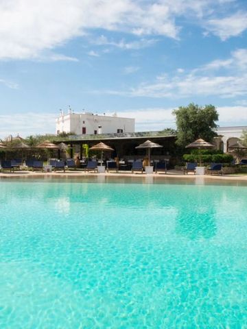 Großer Außenpool mit Liegestühlen und Sonnenschirmen