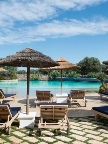 Sonnenliegen und Sonnenschirme am Pool mit blauem Himmel