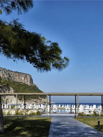 Panoramablick auf den Strand mit klarem Himmel und grüner Umgebung