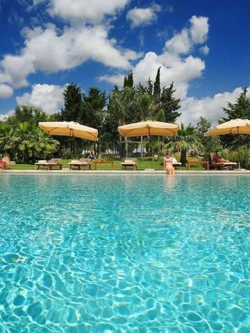 Großer Außenpool mit Liegestühlen und Sonnenschirmen im Garten