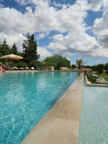 Infinity-Pool mit Blick auf den Garten und sonnigem Himmel
