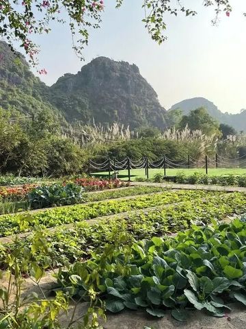 Üppiger Hotelgarten mit Bergen im Hintergrund bei Tageslicht