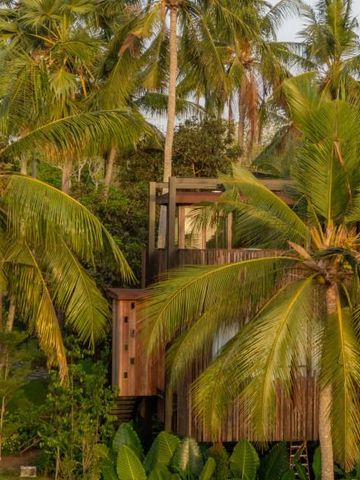 Hölzerner Bungalow umgeben von hohen Kokospalmen im üppigen Garten